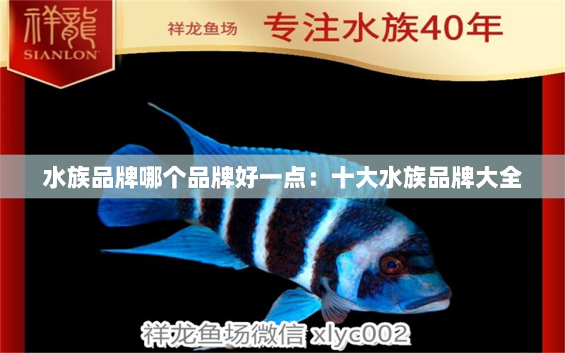 水族品牌哪個(gè)品牌好一點(diǎn)：十大水族品牌大全