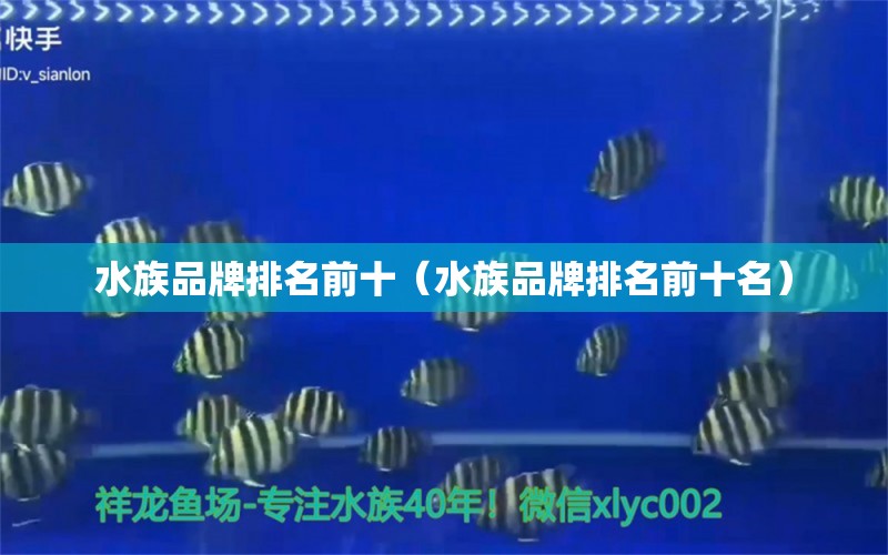 水族品牌排名前十（水族品牌排名前十名）