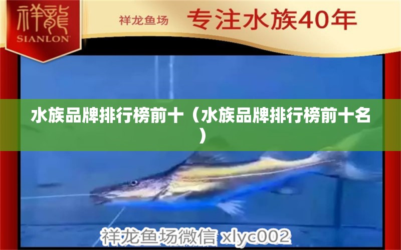 水族品牌排行榜前十（水族品牌排行榜前十名）