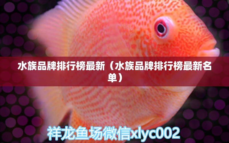 水族品牌排行榜最新（水族品牌排行榜最新名單）