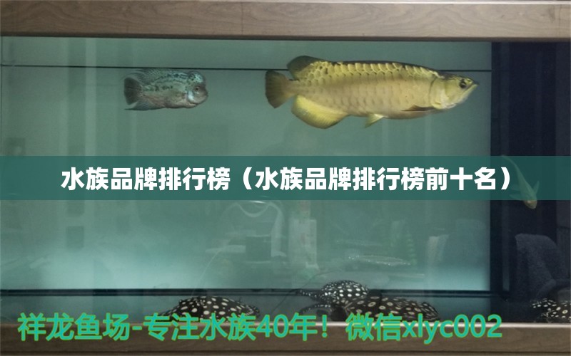 水族品牌排行榜（水族品牌排行榜前十名）