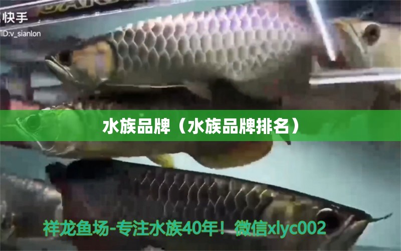 水族品牌（水族品牌排名）