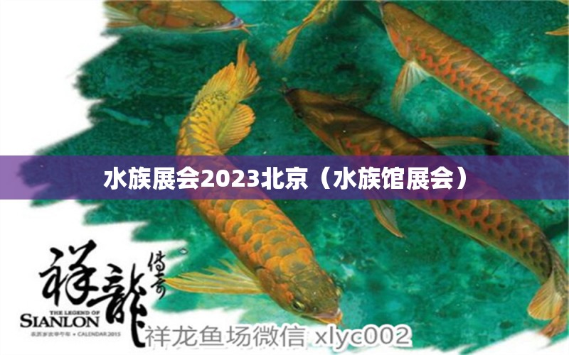 水族展會(huì)2023北京（水族館展會(huì)）