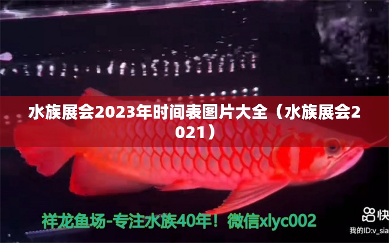 水族展會2023年時間表圖片大全（水族展會2021）