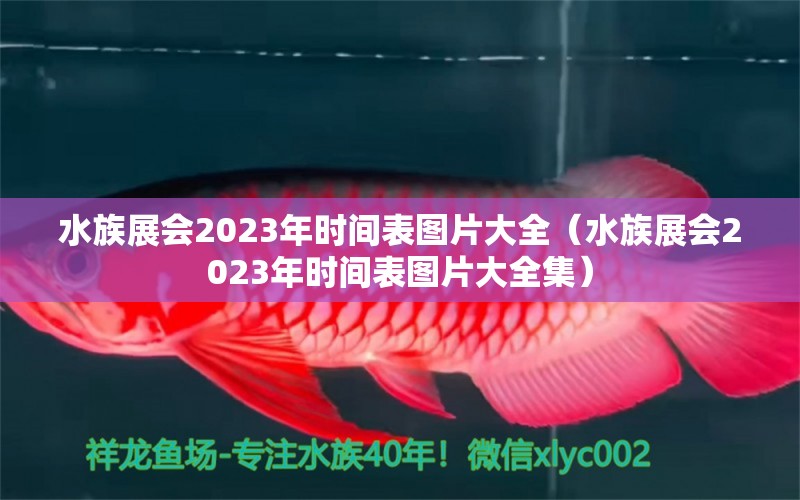 水族展會2023年時間表圖片大全（水族展會2023年時間表圖片大全集）