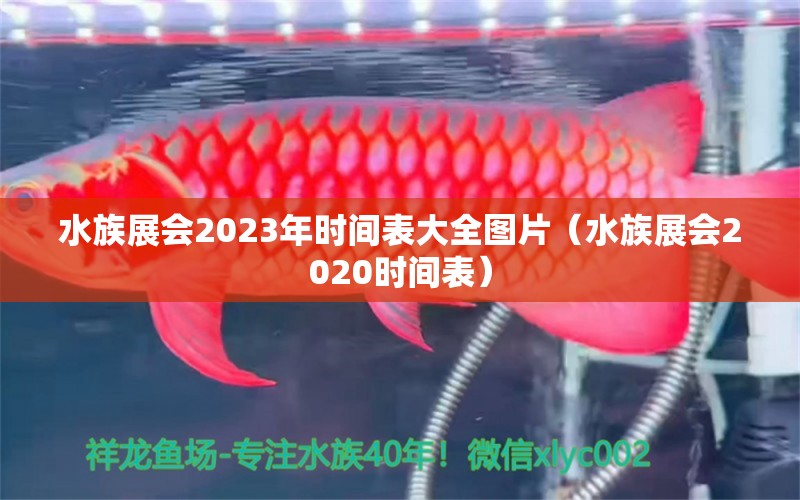 水族展會(huì)2023年時(shí)間表大全圖片（水族展會(huì)2020時(shí)間表） 水族展會(huì)