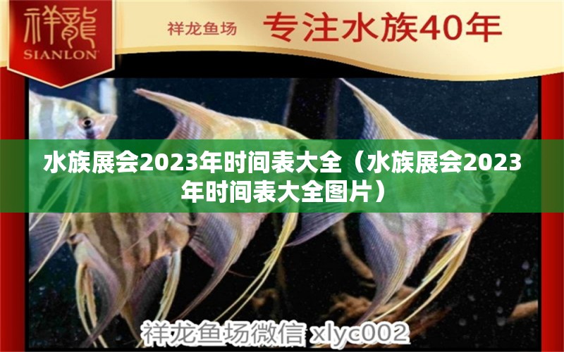 水族展會2023年時間表大全（水族展會2023年時間表大全圖片）