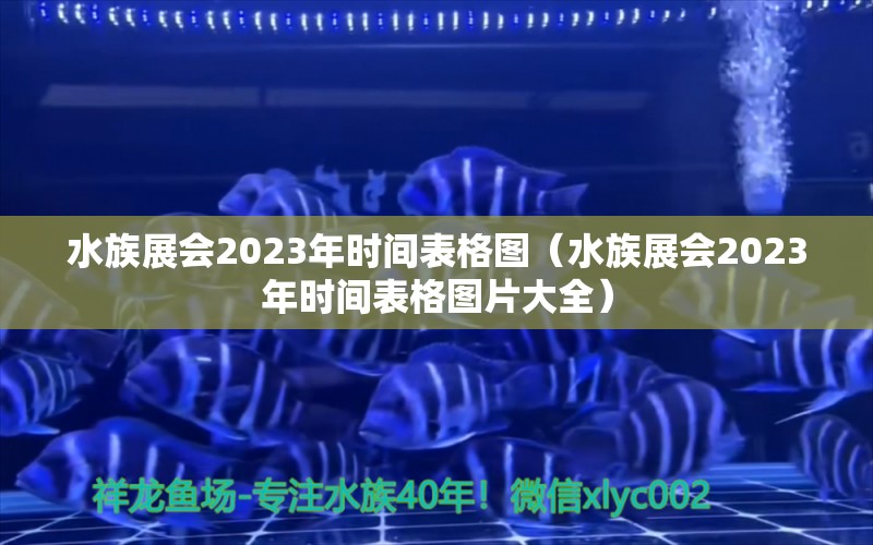 水族展會2023年時間表格圖（水族展會2023年時間表格圖片大全） 水族展會