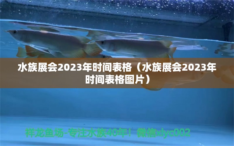 水族展會(huì)2023年時(shí)間表格（水族展會(huì)2023年時(shí)間表格圖片）