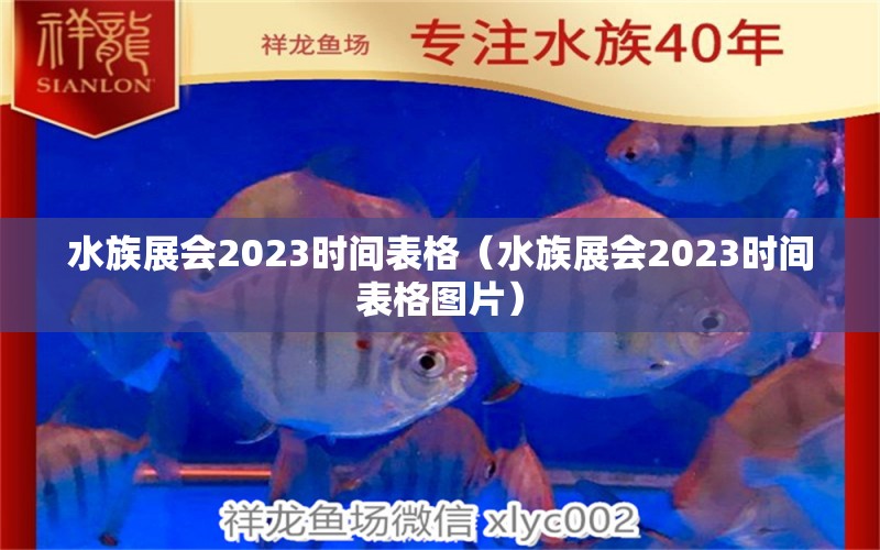 水族展會2023時間表格（水族展會2023時間表格圖片）