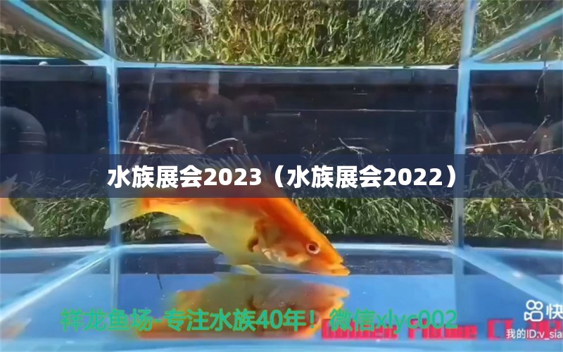 水族展會2023（水族展會2022）