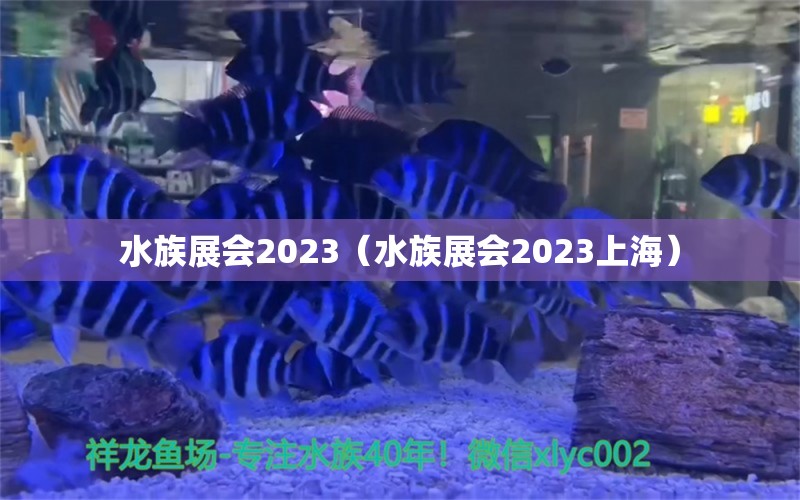 水族展會2023（水族展會2023上海）