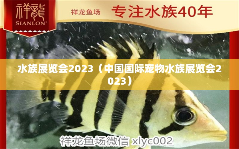 水族展覽會(huì)2023（中國(guó)國(guó)際寵物水族展覽會(huì)2023）