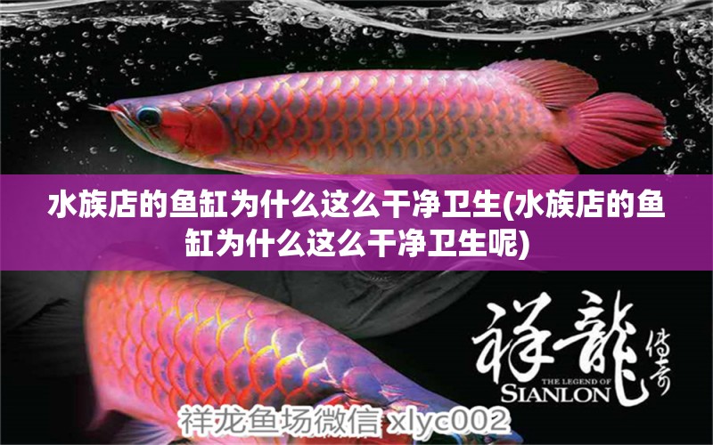 水族店的魚缸為什么這么干凈衛(wèi)生(水族店的魚缸為什么這么干凈衛(wèi)生呢) 魚缸定做