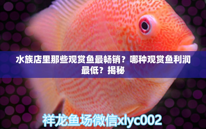 水族店里那些觀賞魚(yú)最暢銷(xiāo)？哪種觀賞魚(yú)利潤(rùn)最低？揭秘