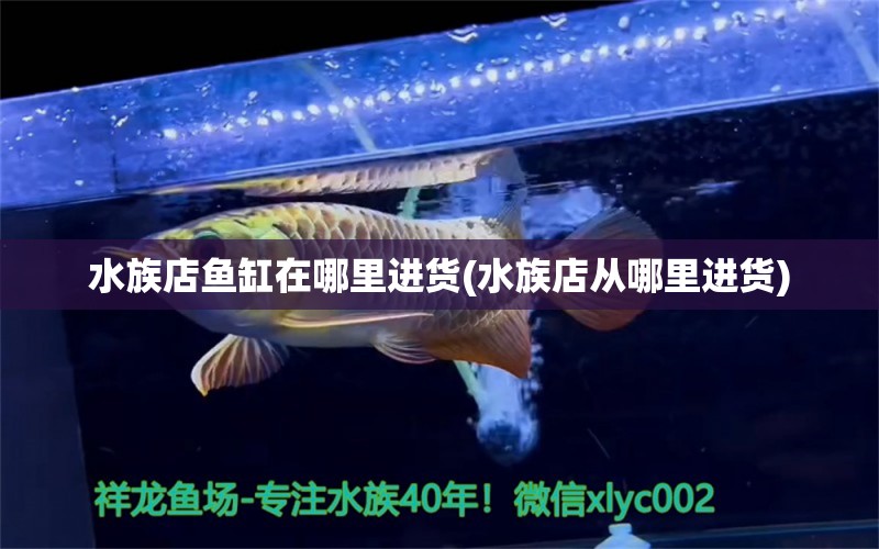 水族店魚缸在哪里進貨(水族店從哪里進貨) 進口元寶鳳凰魚