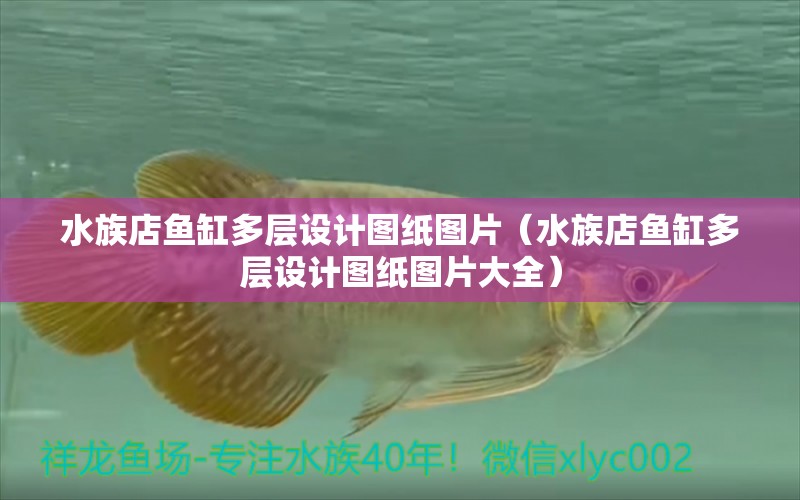 水族店魚缸多層設(shè)計(jì)圖紙圖片（水族店魚缸多層設(shè)計(jì)圖紙圖片大全）