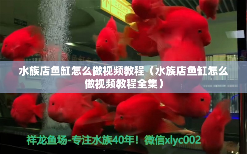 水族店魚缸怎么做視頻教程（水族店魚缸怎么做視頻教程全集） 祥龍魚場