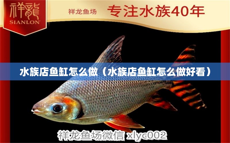 水族店魚缸怎么做（水族店魚缸怎么做好看） 其他品牌魚缸