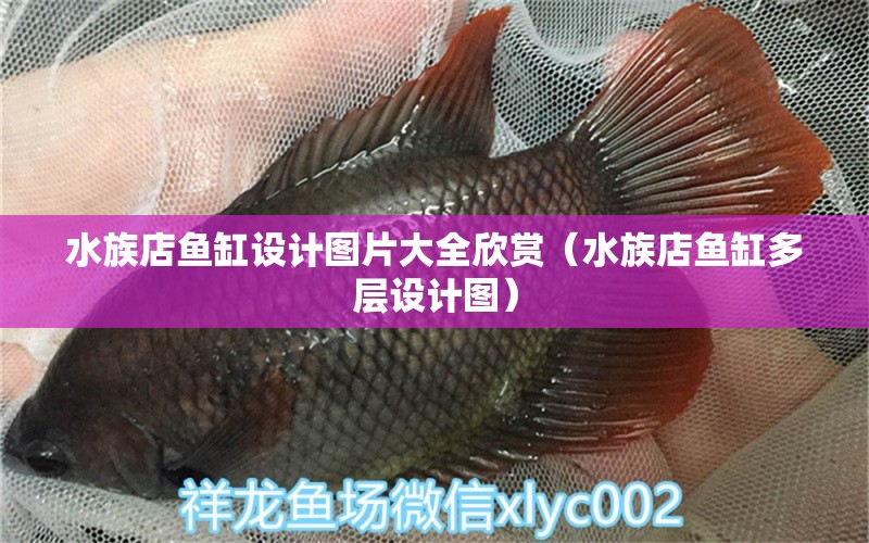 水族店魚缸設(shè)計圖片大全欣賞（水族店魚缸多層設(shè)計圖）