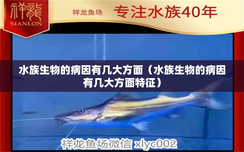 水族生物的病因有幾大方面（水族生物的病因有幾大方面特征）