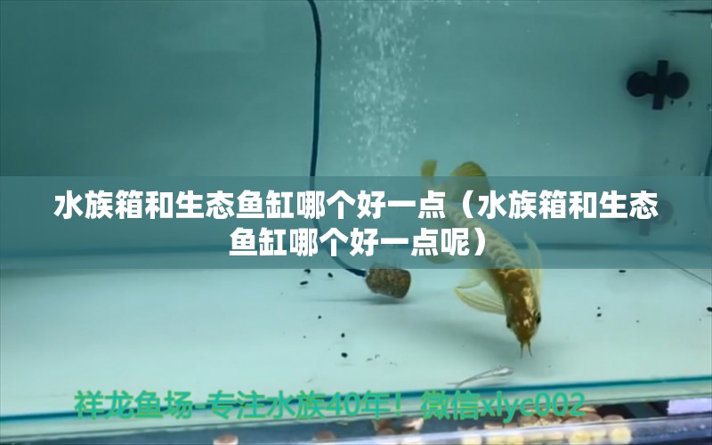 水族箱和生態(tài)魚缸哪個(gè)好一點(diǎn)（水族箱和生態(tài)魚缸哪個(gè)好一點(diǎn)呢） 魚缸/水族箱