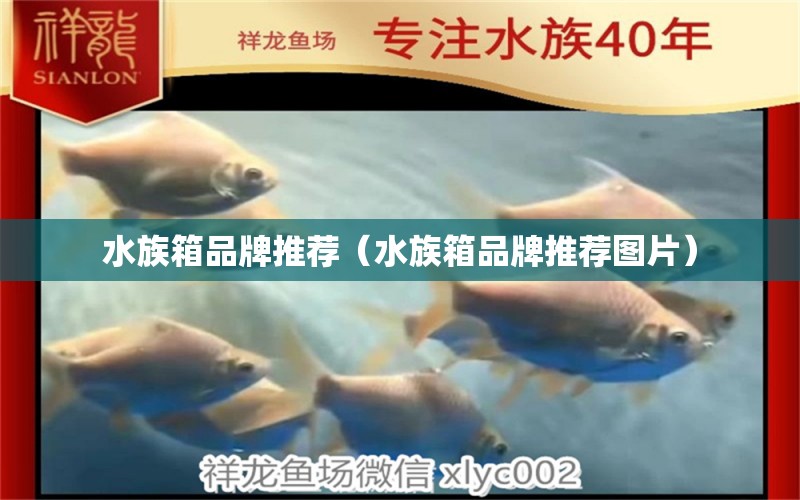 水族箱品牌推薦（水族箱品牌推薦圖片） 魚缸/水族箱