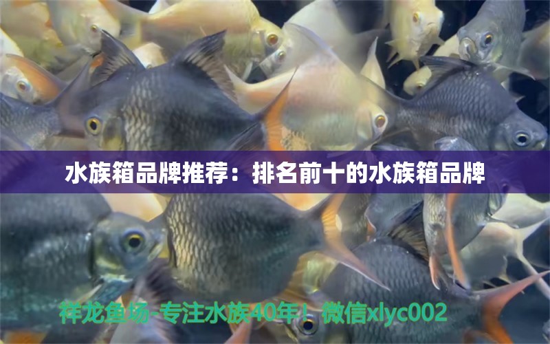 水族箱品牌推薦：排名前十的水族箱品牌