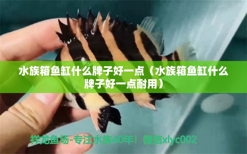 水族箱魚缸什么牌子好一點(diǎn)（水族箱魚缸什么牌子好一點(diǎn)耐用） 魚缸/水族箱