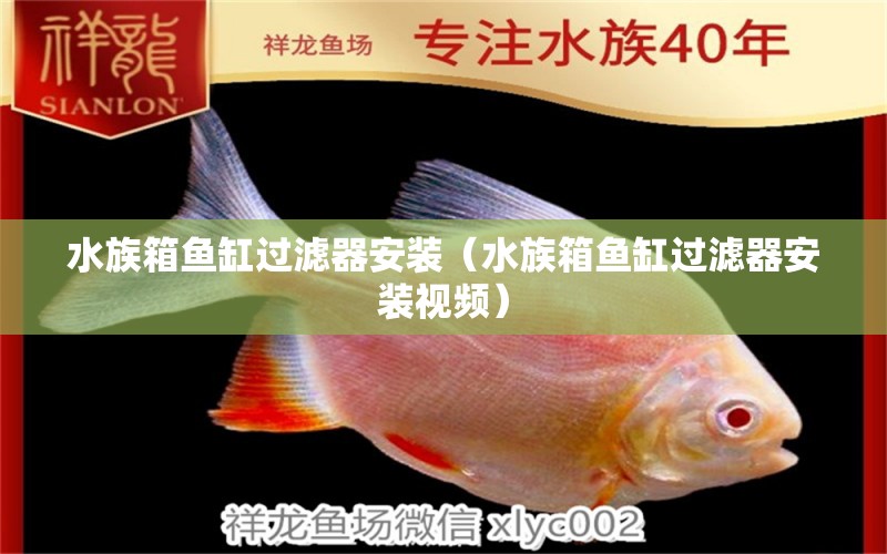 水族箱魚缸過濾器安裝（水族箱魚缸過濾器安裝視頻） 魚缸/水族箱