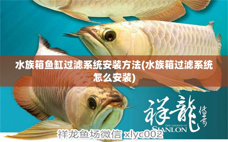 水族箱魚缸過濾系統(tǒng)安裝方法(水族箱過濾系統(tǒng)怎么安裝)