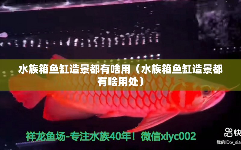 水族箱魚缸造景都有啥用（水族箱魚缸造景都有啥用處）