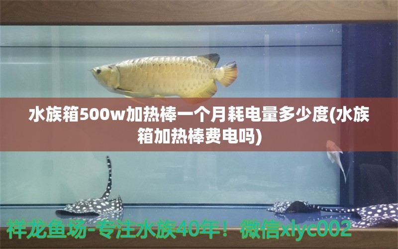 水族箱500w加熱棒一個月耗電量多少度(水族箱加熱棒費電嗎) 魚缸/水族箱