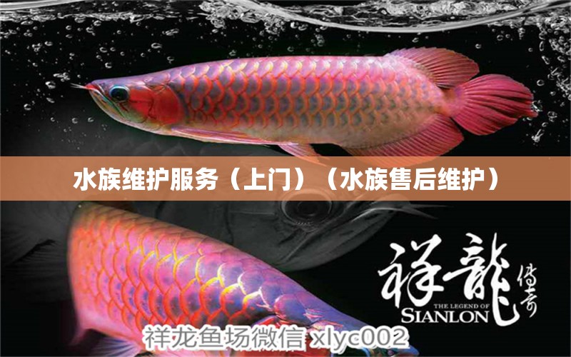 水族維護(hù)服務(wù)（上門）（水族售后維護(hù)）