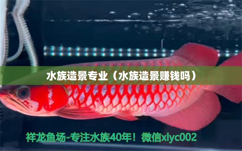 水族造景專業(yè)（水族造景賺錢嗎）