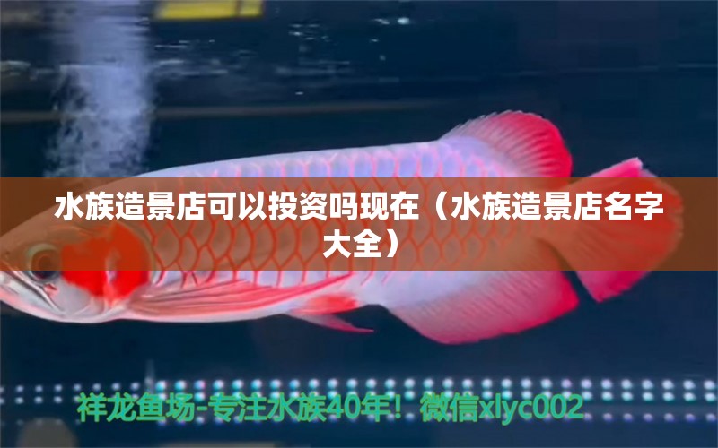 水族造景店可以投資嗎現(xiàn)在（水族造景店名字大全）