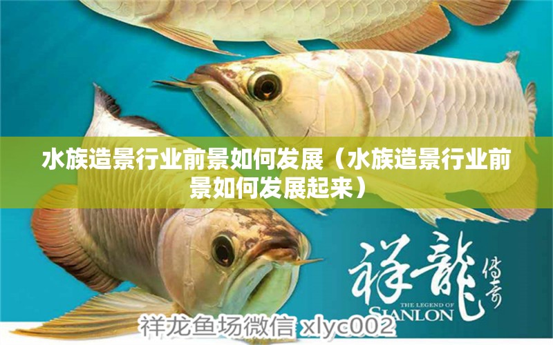 水族造景行業(yè)前景如何發(fā)展（水族造景行業(yè)前景如何發(fā)展起來）