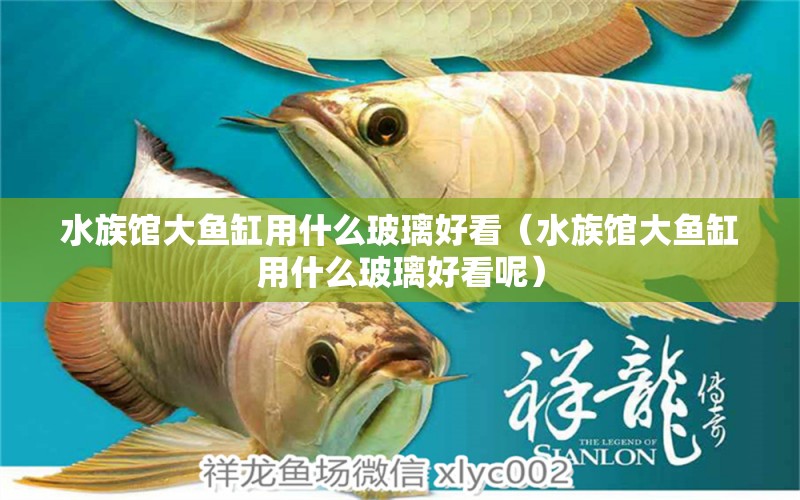 水族館大魚缸用什么玻璃好看（水族館大魚缸用什么玻璃好看呢）