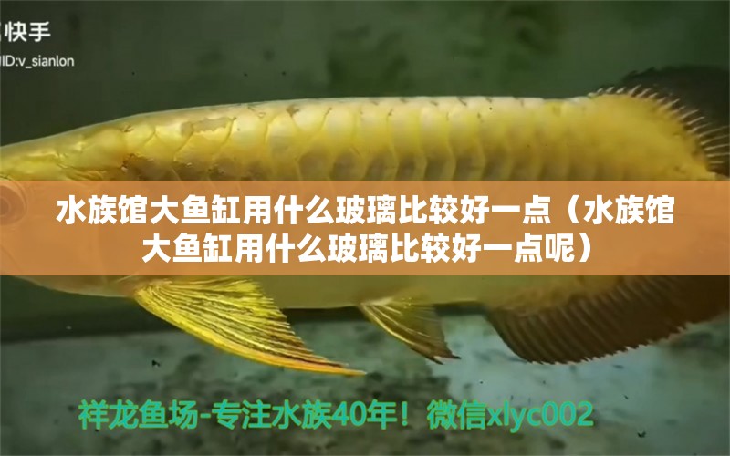 水族館大魚(yú)缸用什么玻璃比較好一點(diǎn)（水族館大魚(yú)缸用什么玻璃比較好一點(diǎn)呢）