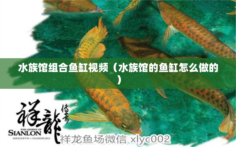 水族館組合魚缸視頻（水族館的魚缸怎么做的） 其他品牌魚缸