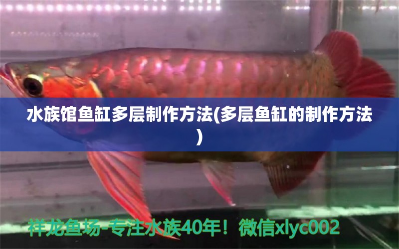 水族館魚缸多層制作方法(多層魚缸的制作方法) 定時(shí)器/自控系統(tǒng) 第1張