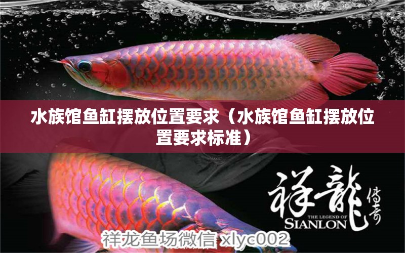 水族館魚缸擺放位置要求（水族館魚缸擺放位置要求標準）