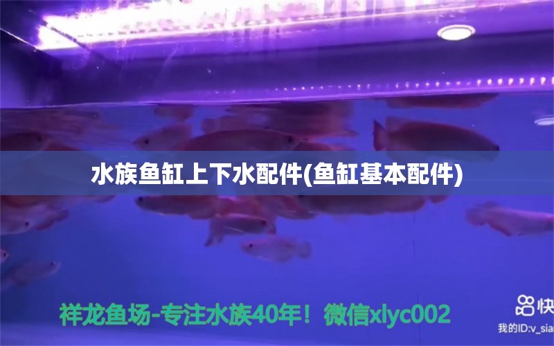 水族魚缸上下水配件(魚缸基本配件) 紅尾平克魚