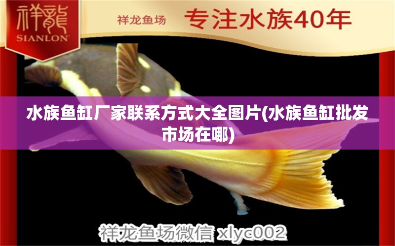 水族魚缸廠家聯(lián)系方式大全圖片(水族魚缸批發(fā)市場在哪) 殺菌消毒設(shè)備