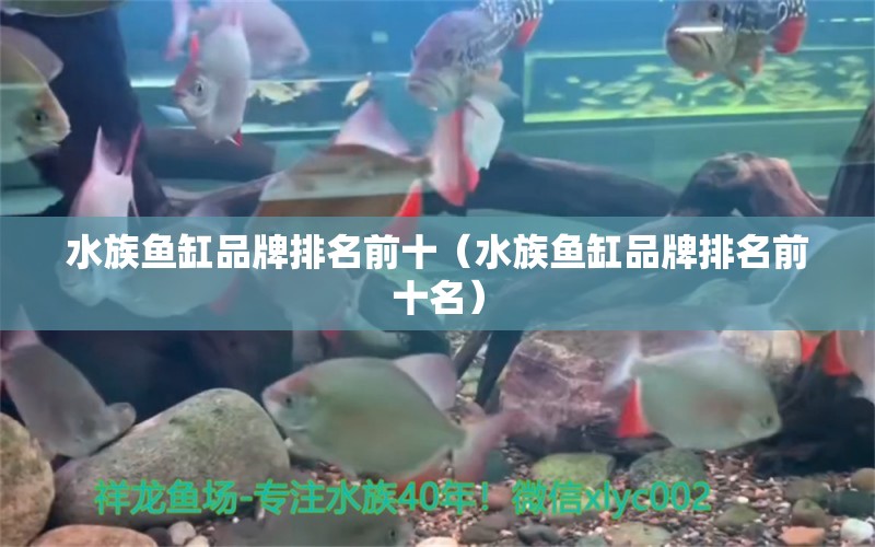 水族魚缸品牌排名前十（水族魚缸品牌排名前十名）