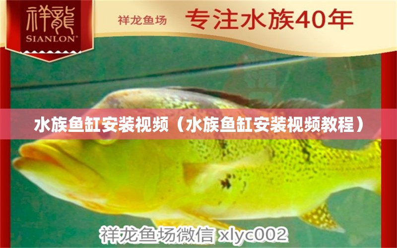 水族魚缸安裝視頻（水族魚缸安裝視頻教程）