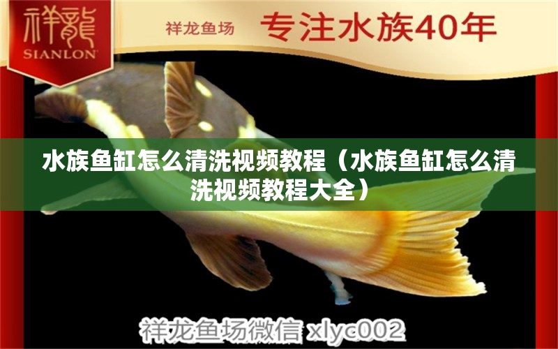 水族魚缸怎么清洗視頻教程（水族魚缸怎么清洗視頻教程大全）