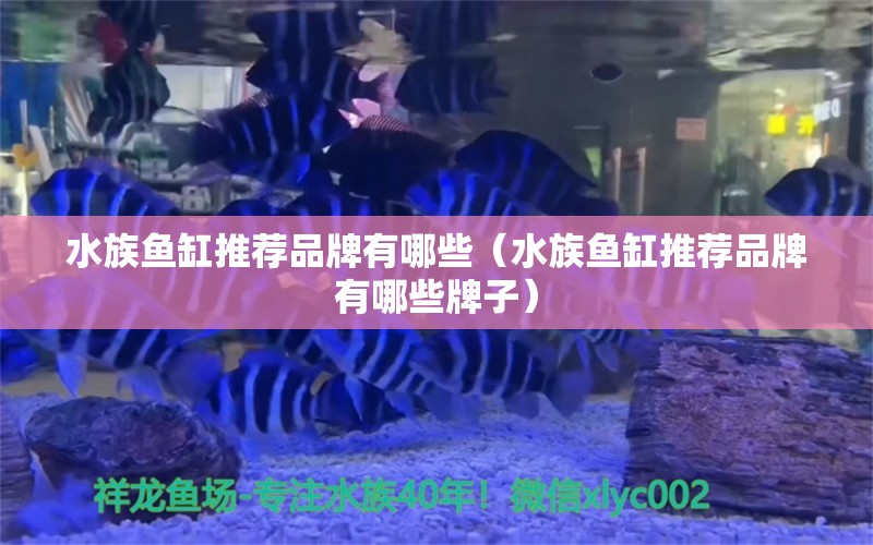 水族魚缸推薦品牌有哪些（水族魚缸推薦品牌有哪些牌子）