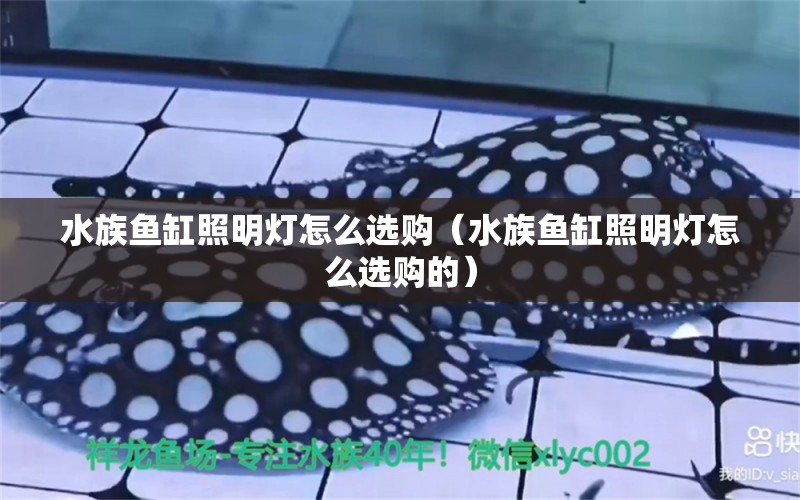 水族魚缸照明燈怎么選購（水族魚缸照明燈怎么選購的）