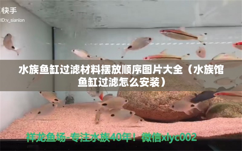 水族魚缸過(guò)濾材料擺放順序圖片大全（水族館魚缸過(guò)濾怎么安裝） 鐵甲武士